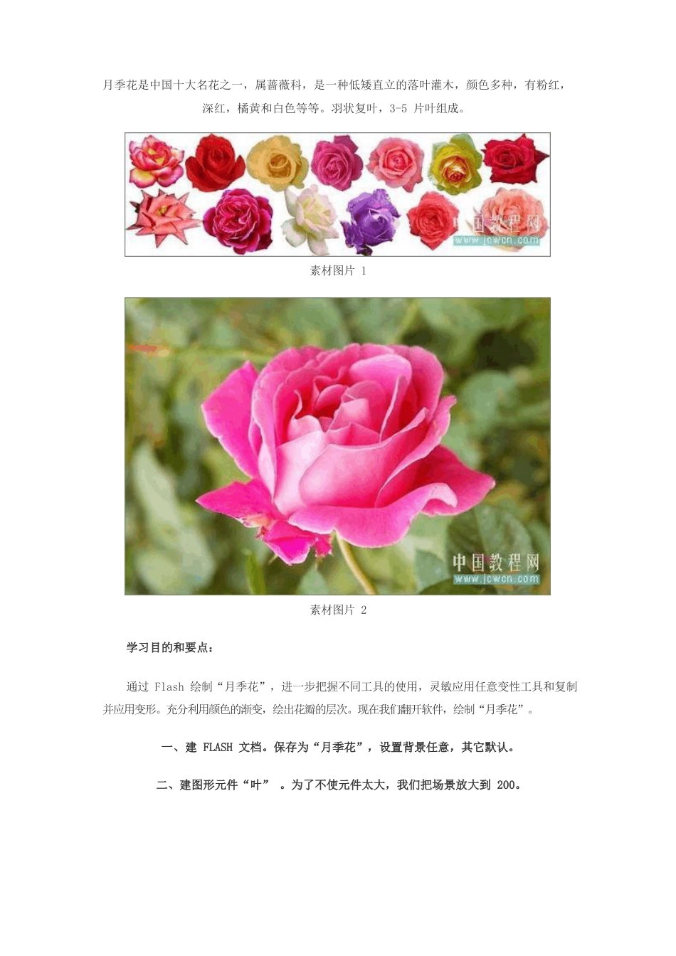 Flash鼠绘入门第九课：绘制漂亮月季花_第1页