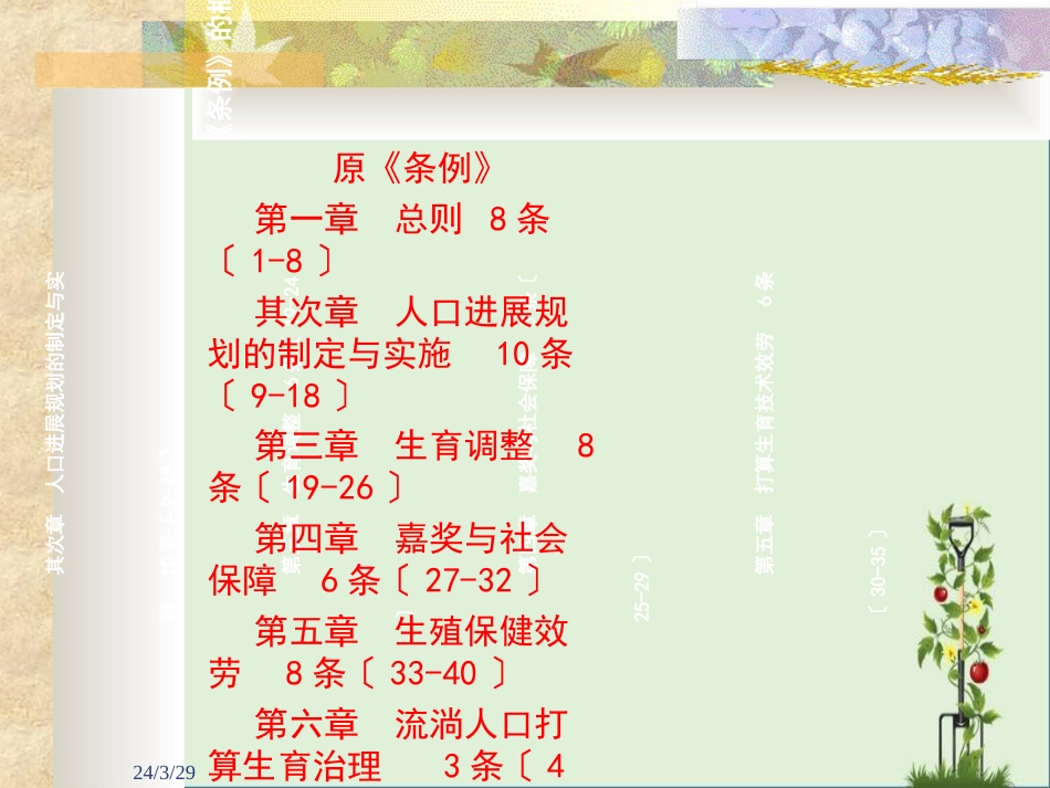 《人口与计划生育条例》解读_第2页