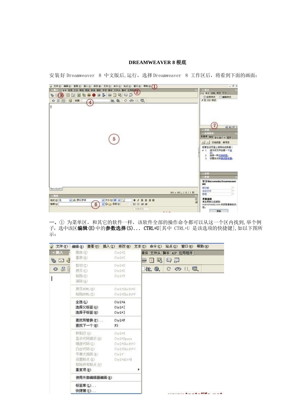 DM网页制作实验指导书_第1页