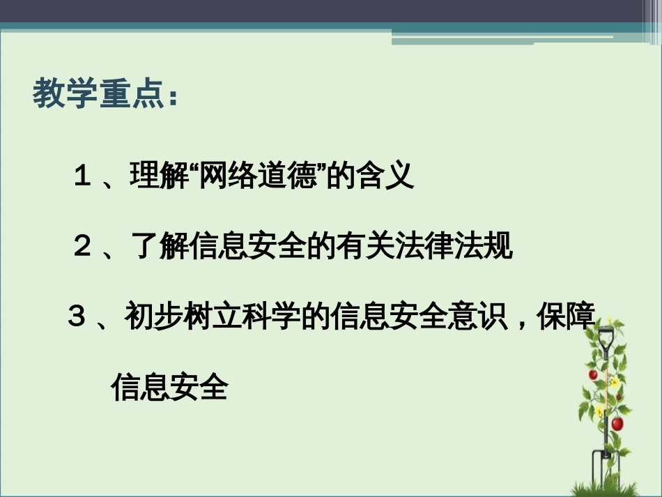 《信息安全法律法规及道德规范》教学课件_第3页