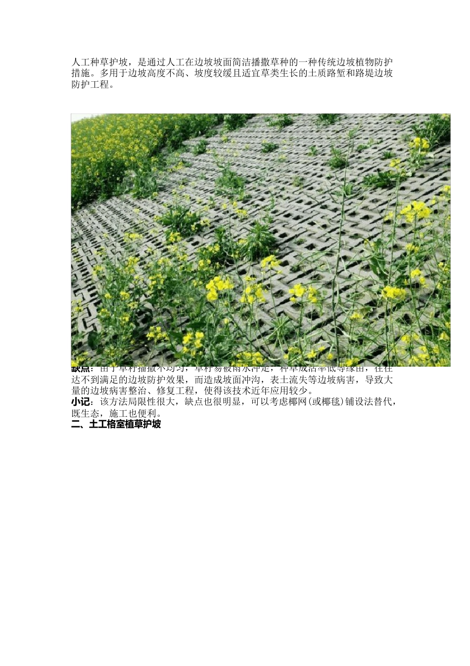 13种常见的生态护坡技术_第2页