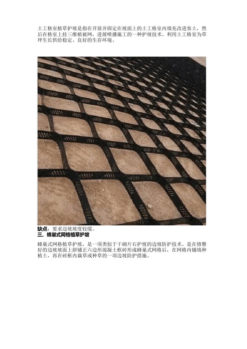 13种常见的生态护坡技术_第3页