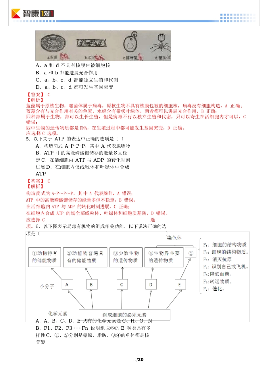 14-科大附中2023学年度第二学期高二生物期末试卷-有答案和解析-已入库_第2页