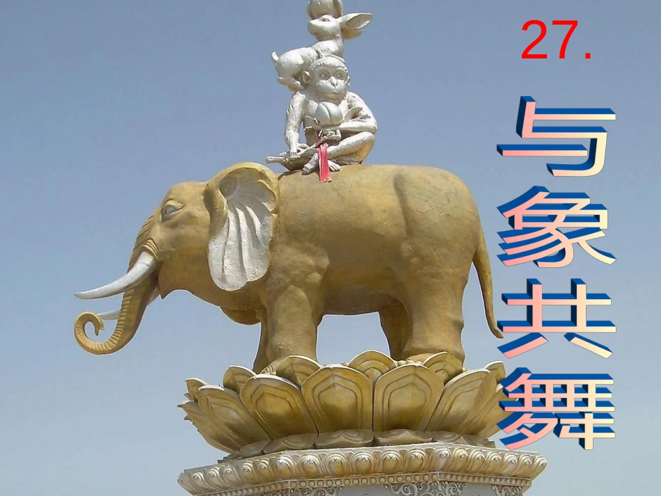 《与象共舞》课件解析_第1页