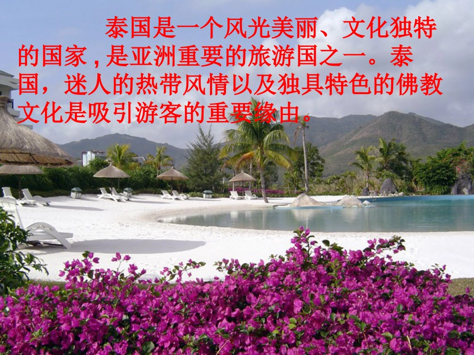 《与象共舞》课件解析_第3页