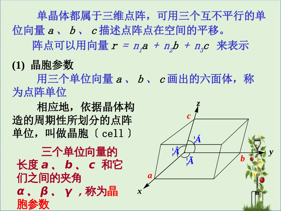 02-X-射线晶体学的基本原理解析_第3页