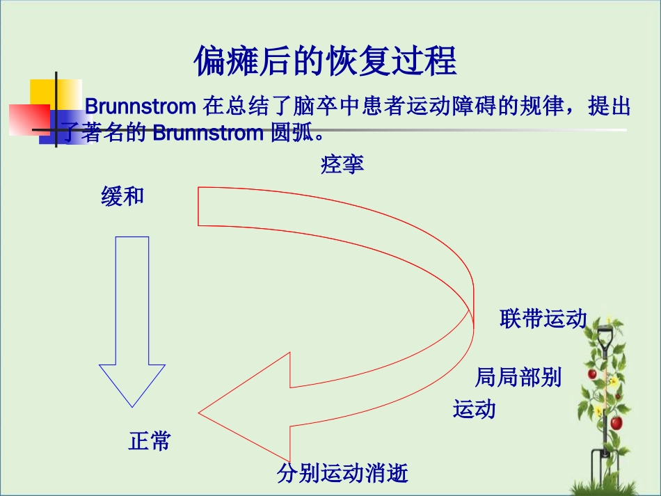 022偏瘫上肢运动功能训练解析_第3页