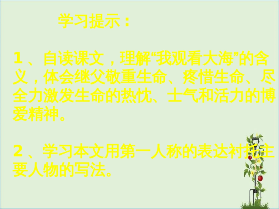 05《我看见了大海》课件PPT_第3页