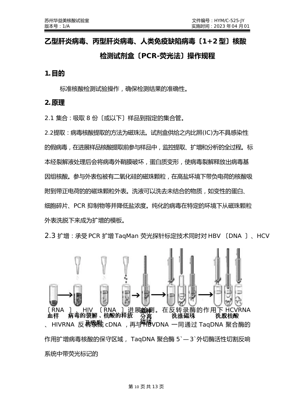 《乙型肝炎病毒、丙型肝炎病毒、人类免疫缺陷病毒(型)核酸检测试剂盒(PCR荧光法)操作规程》_第1页