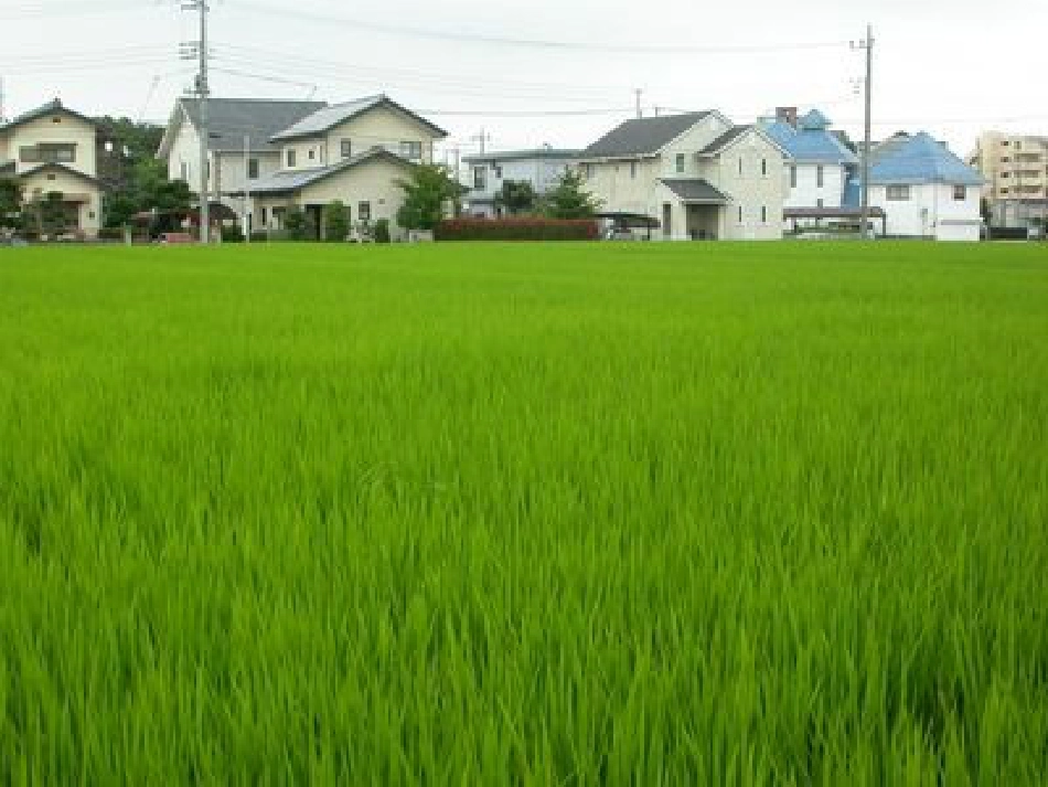 《乡下人家》课件资料_第1页