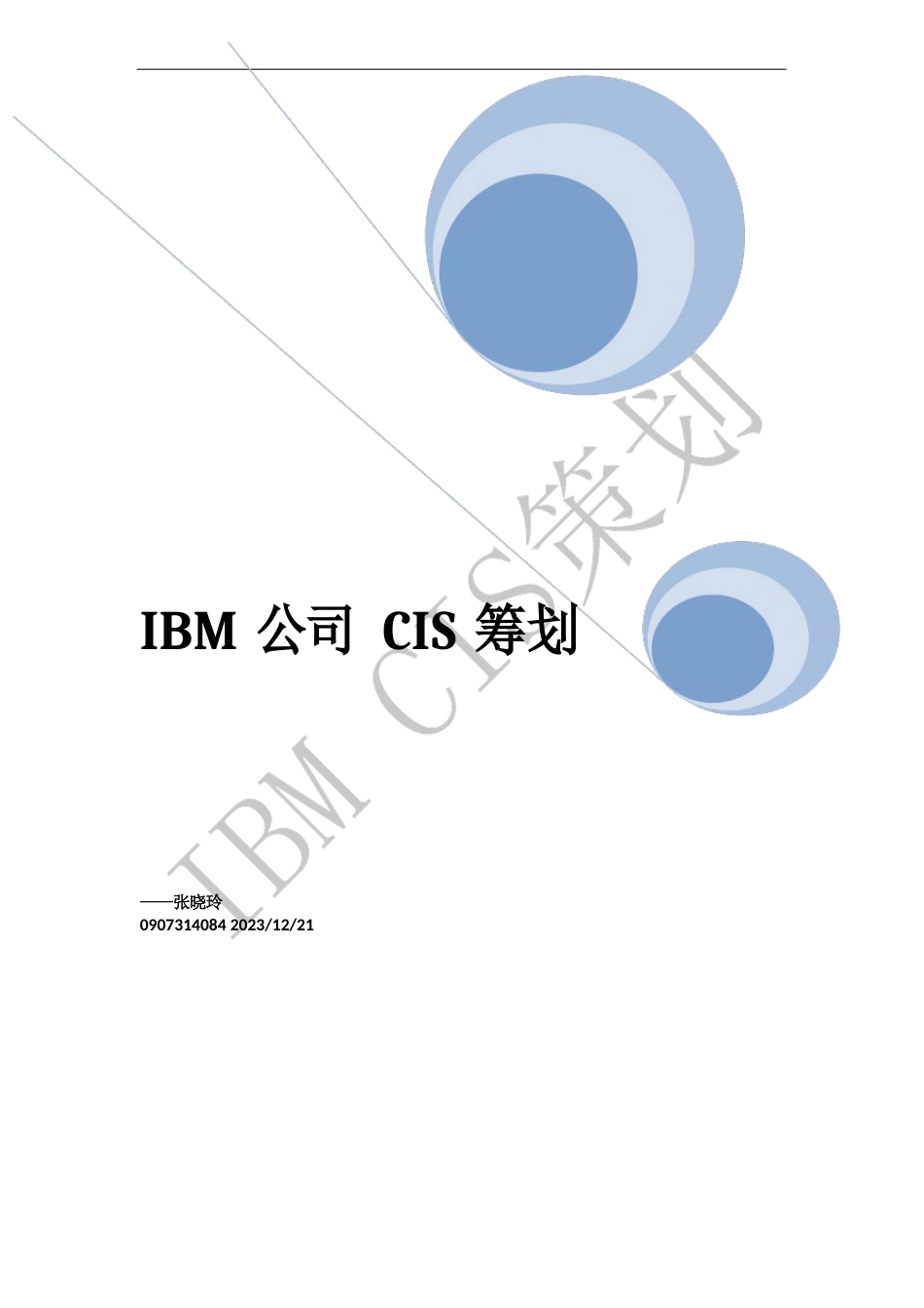 IBM公司CIS策划报告_第1页