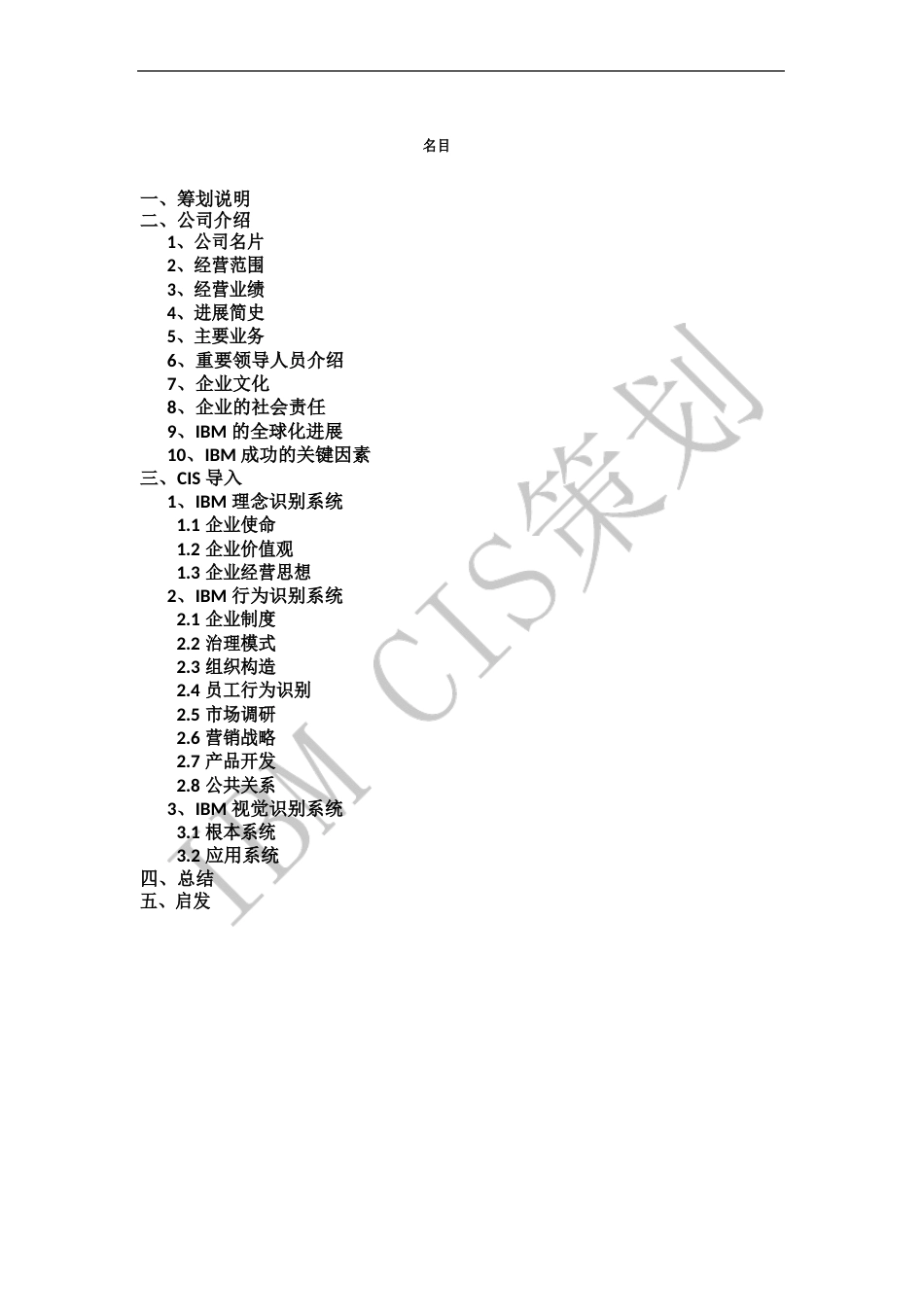 IBM公司CIS策划报告_第2页