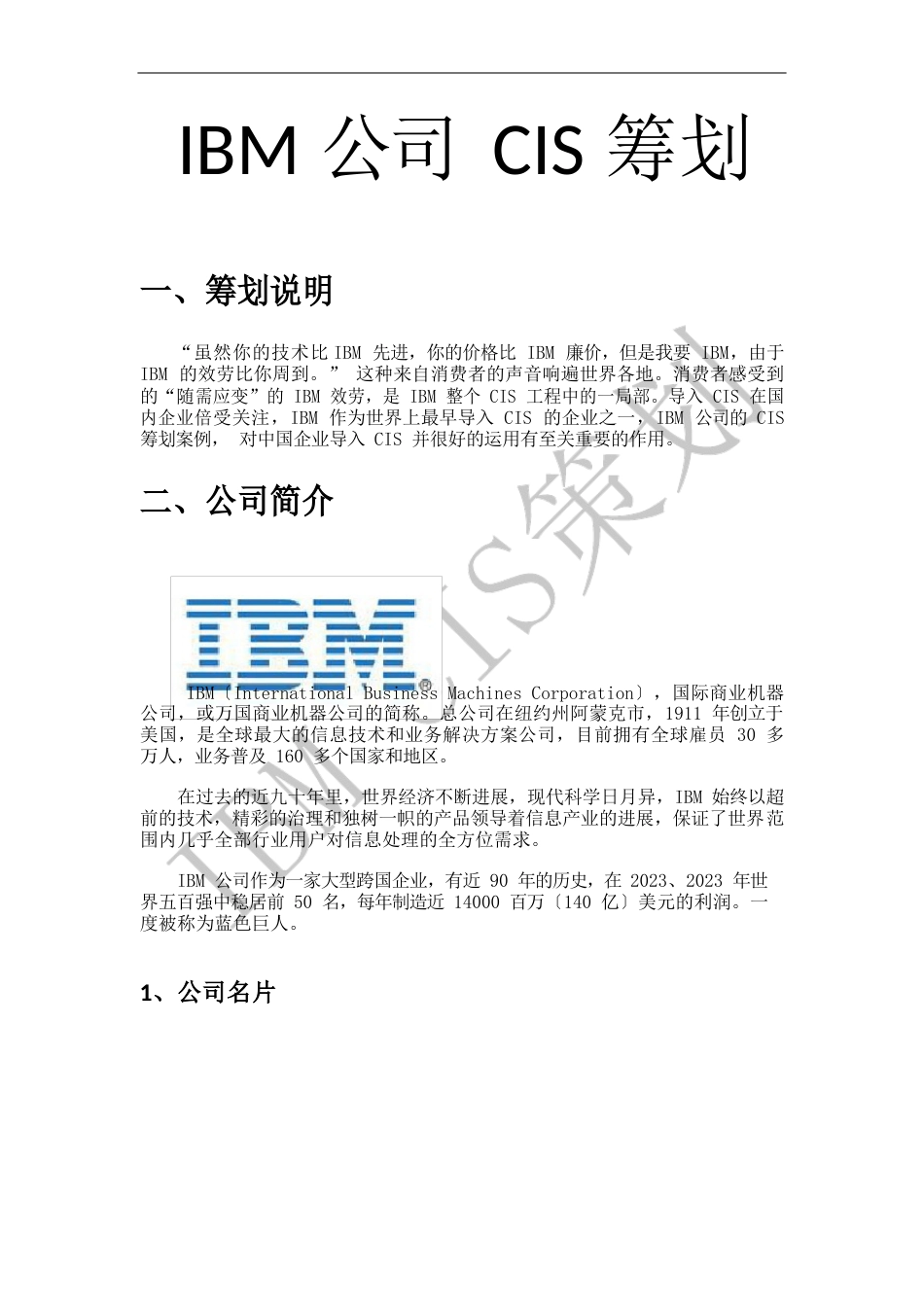 IBM公司CIS策划报告_第3页