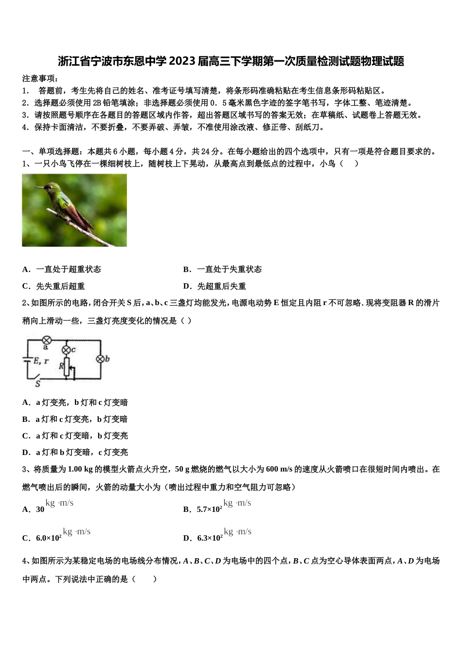 浙江省宁波市东恩中学2023届高三下学期第一次质量检测试题物理试题_第1页