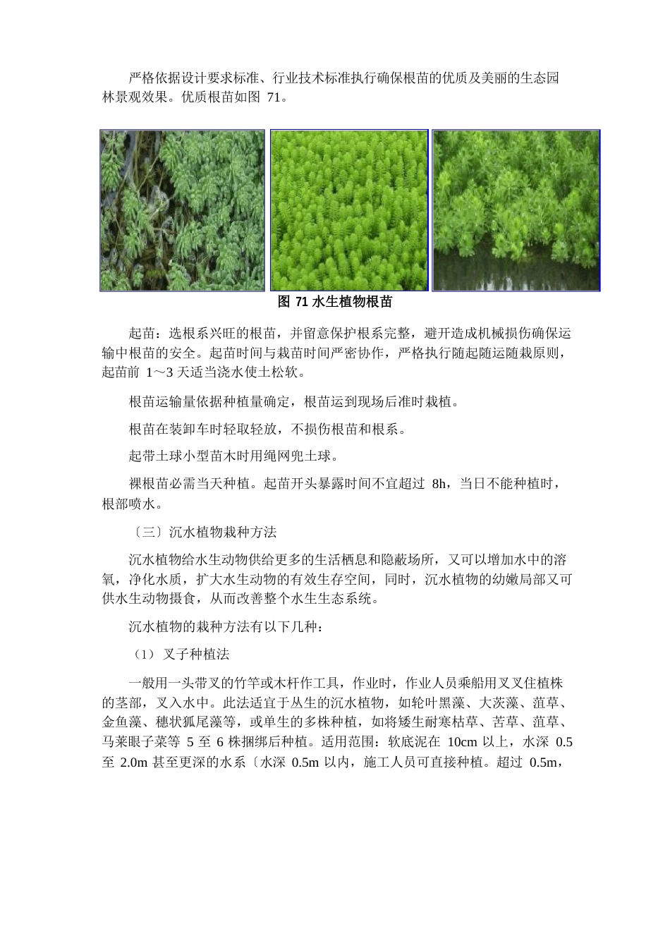 水生动植物投放方案_第2页