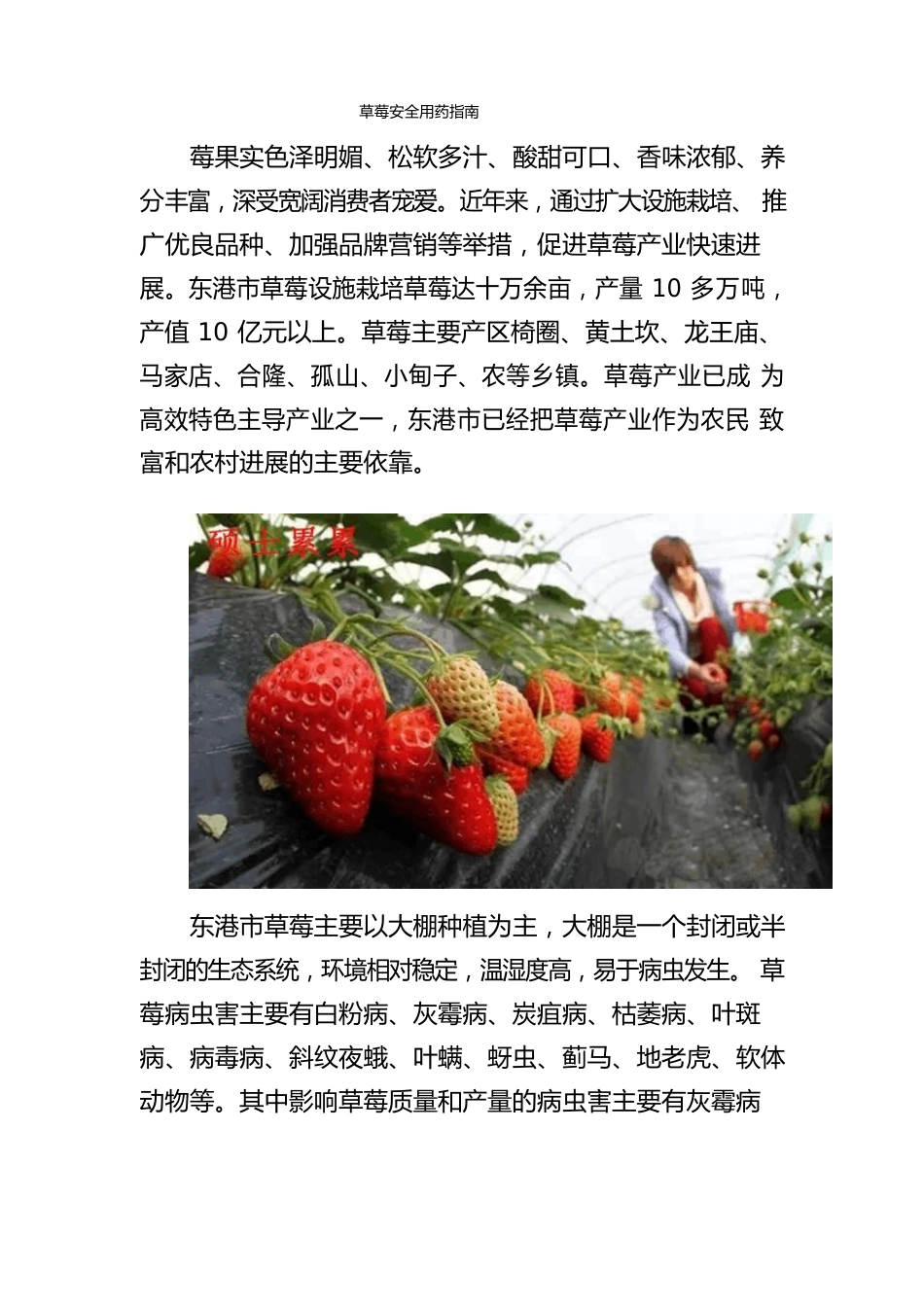 草莓用药指南_第1页