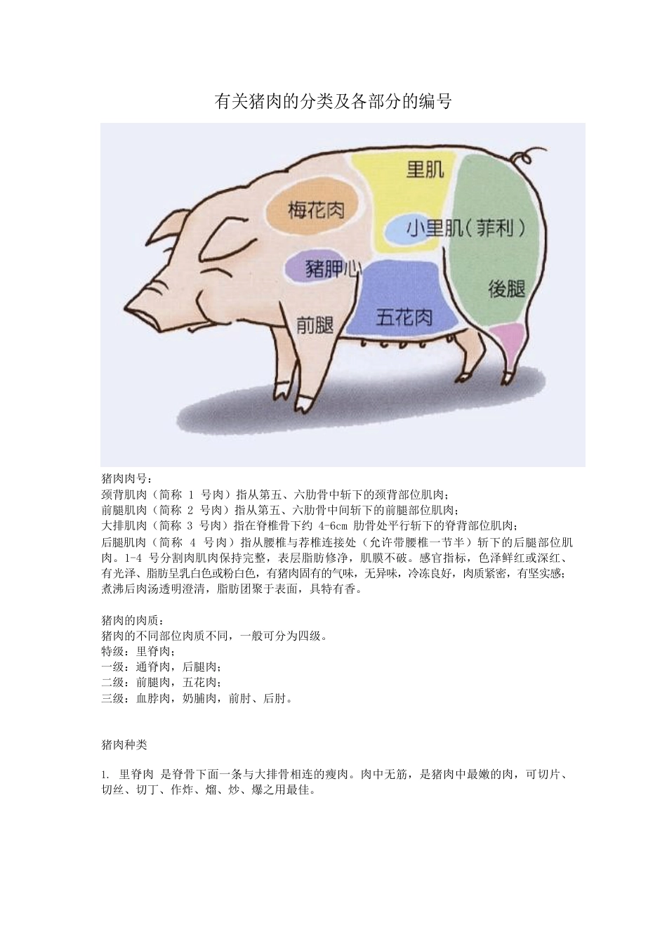 猪肉分类_第1页