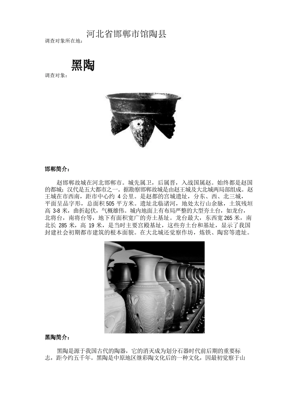 黑陶调查报告_第2页