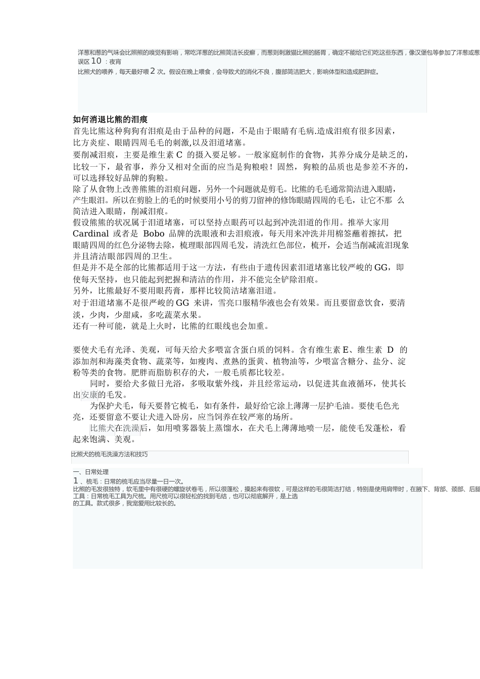 比熊犬的饲养要点_第2页