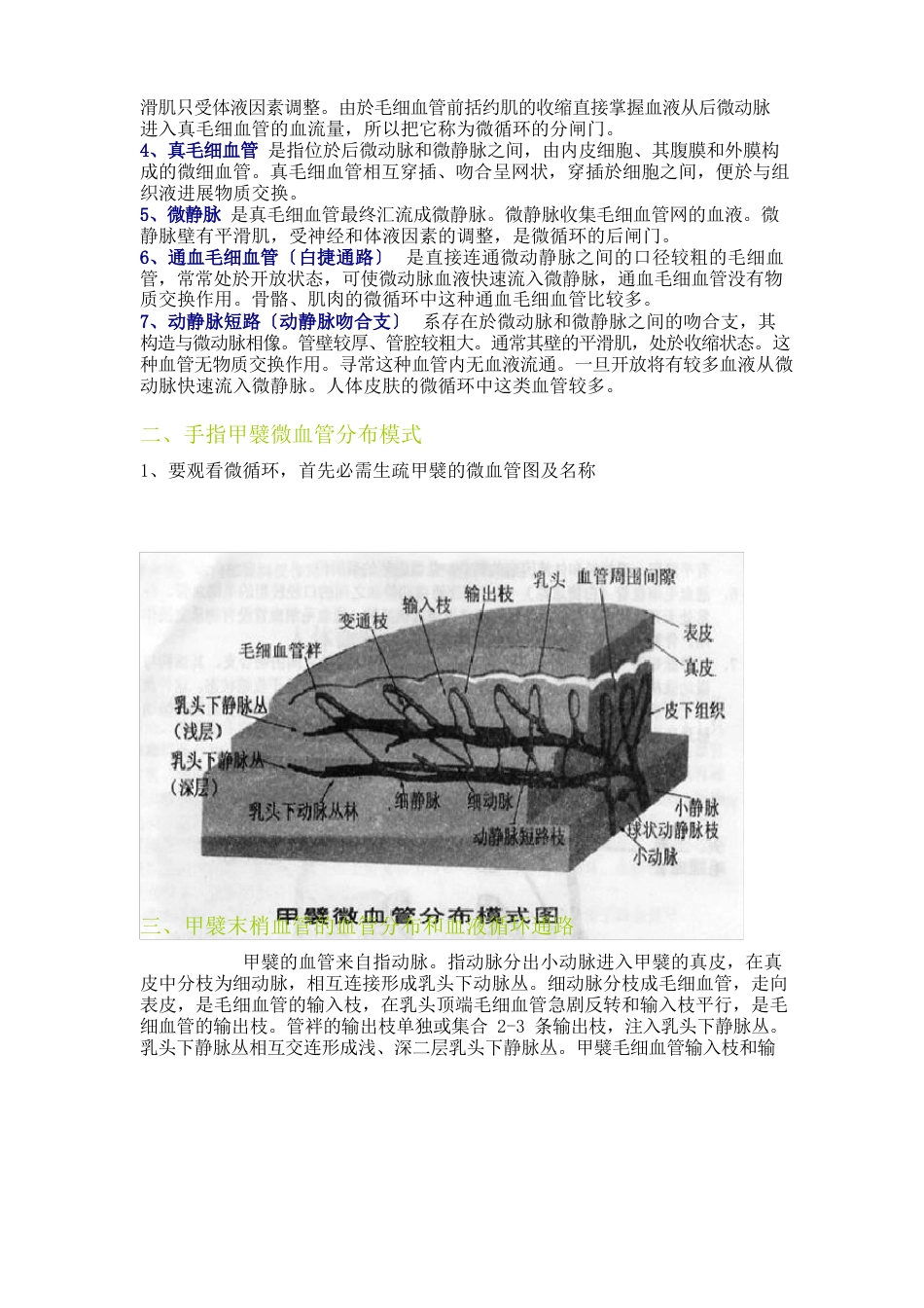 甲襞末梢血管微循环的基本知识_第2页