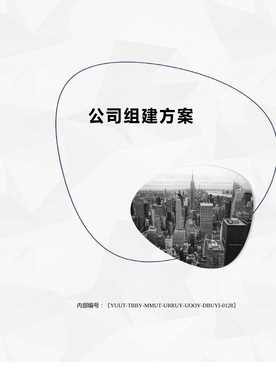 公司组建方案_第1页