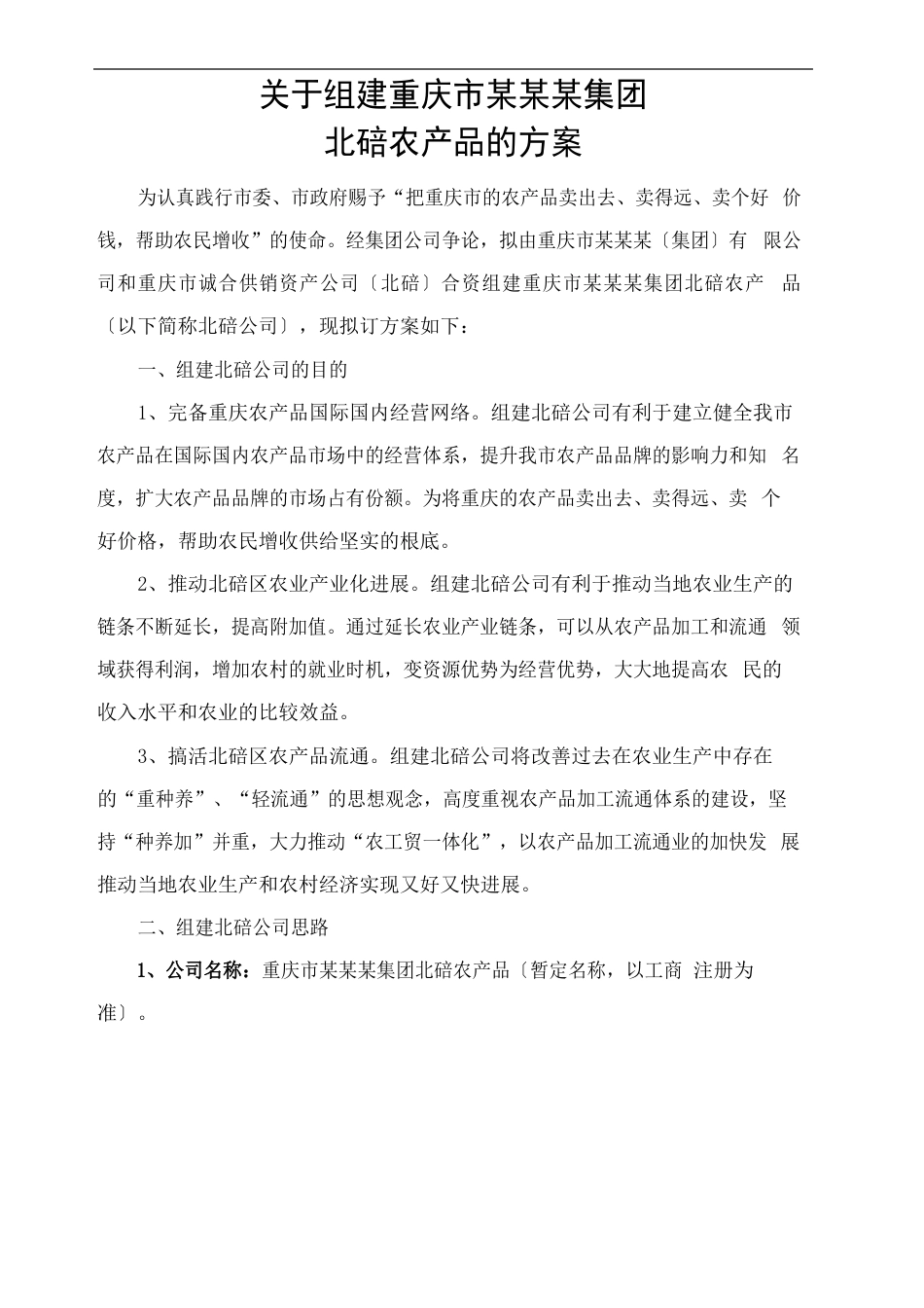 公司组建方案_第2页