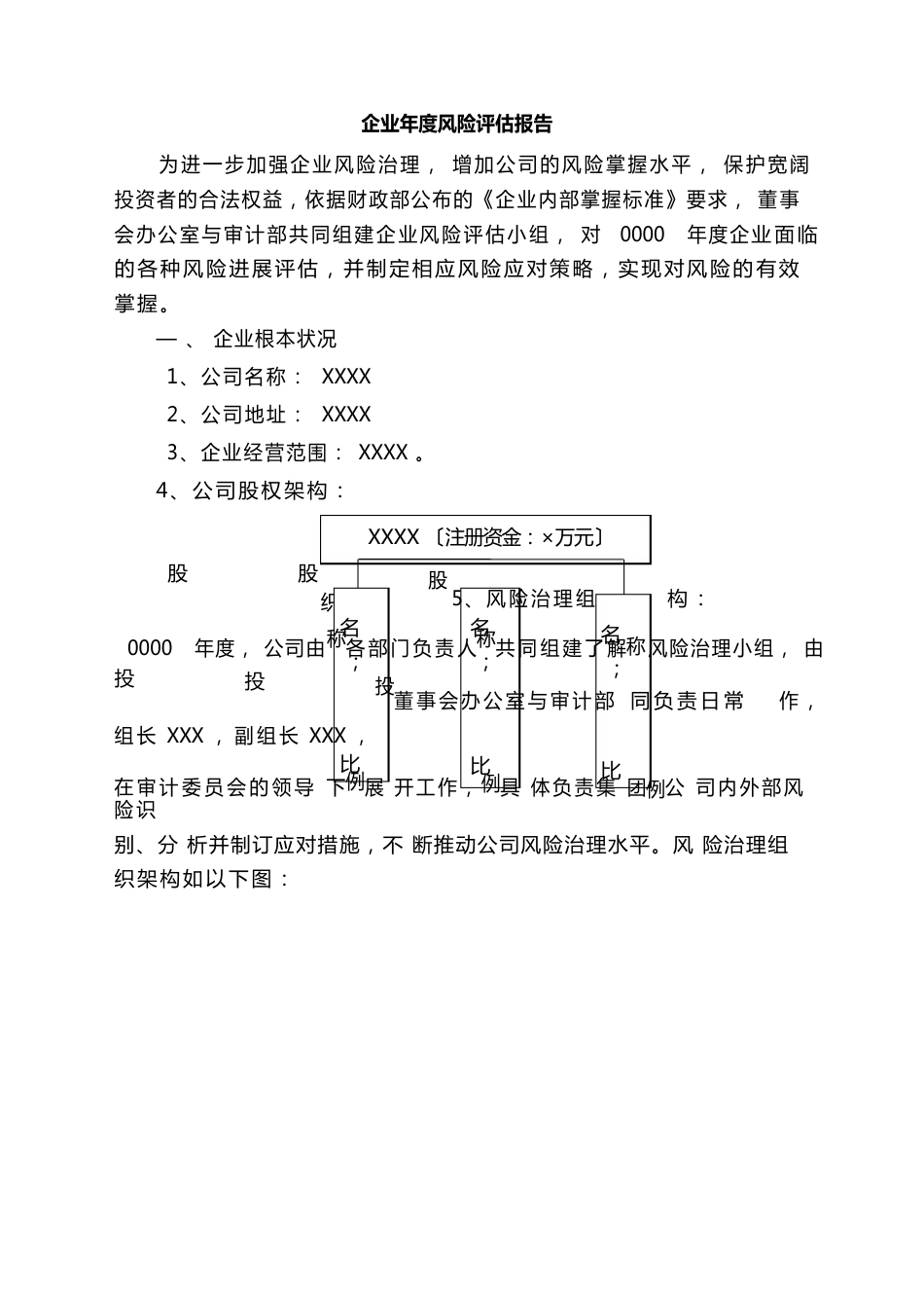 企业风险评估报告_第1页