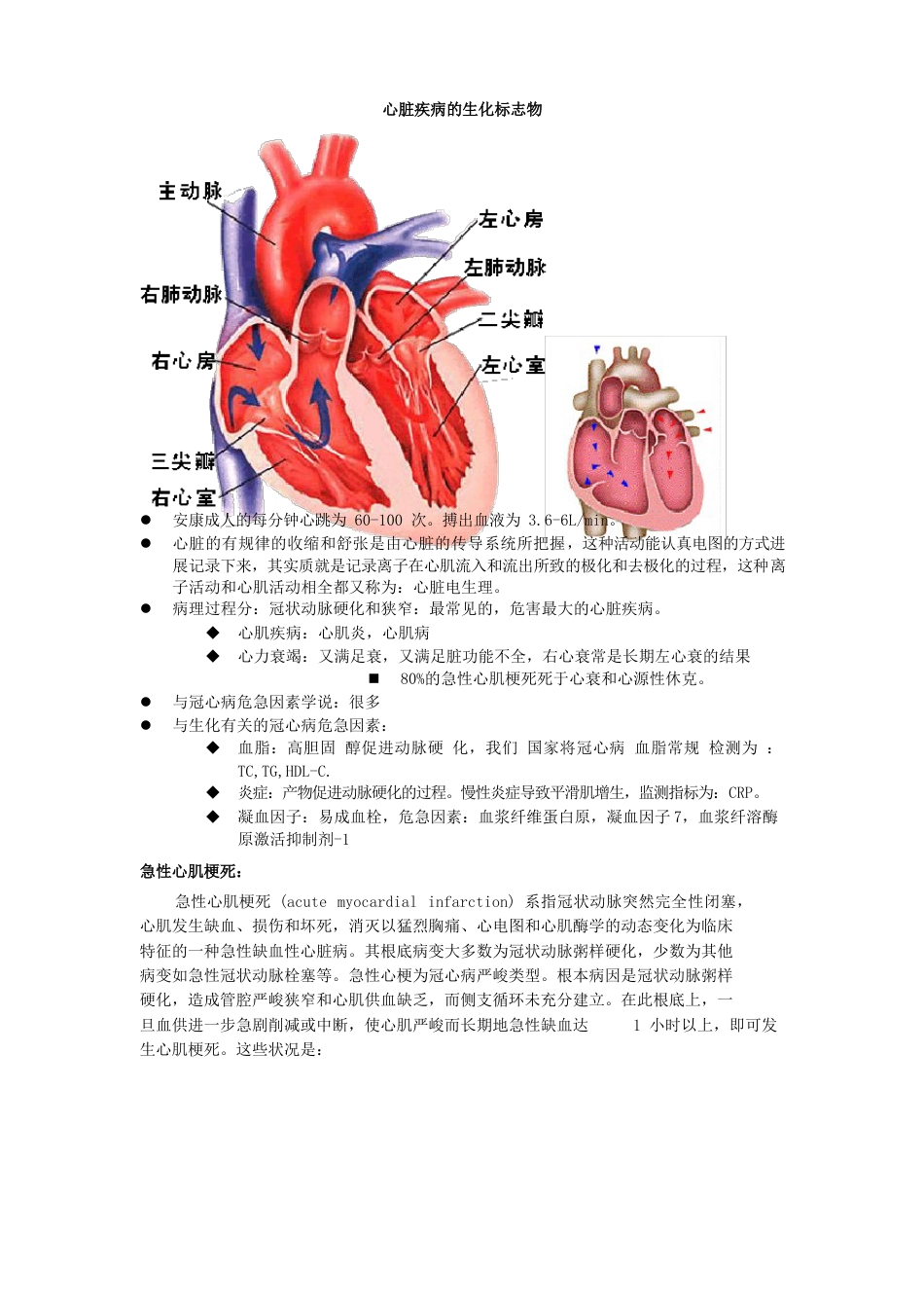 心脏疾病的生化标志物_第1页