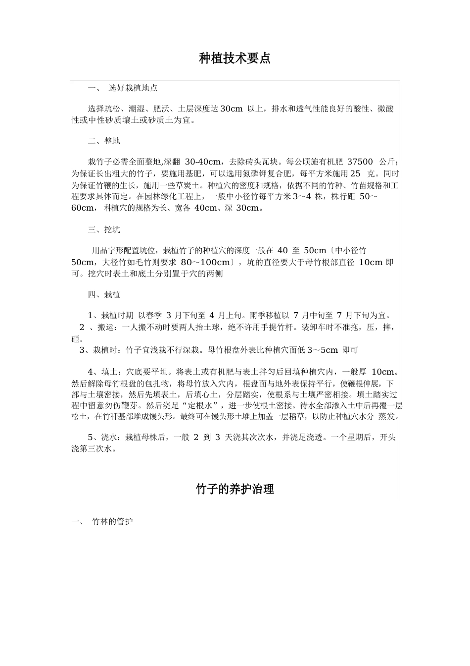 竹子种子技术_第1页