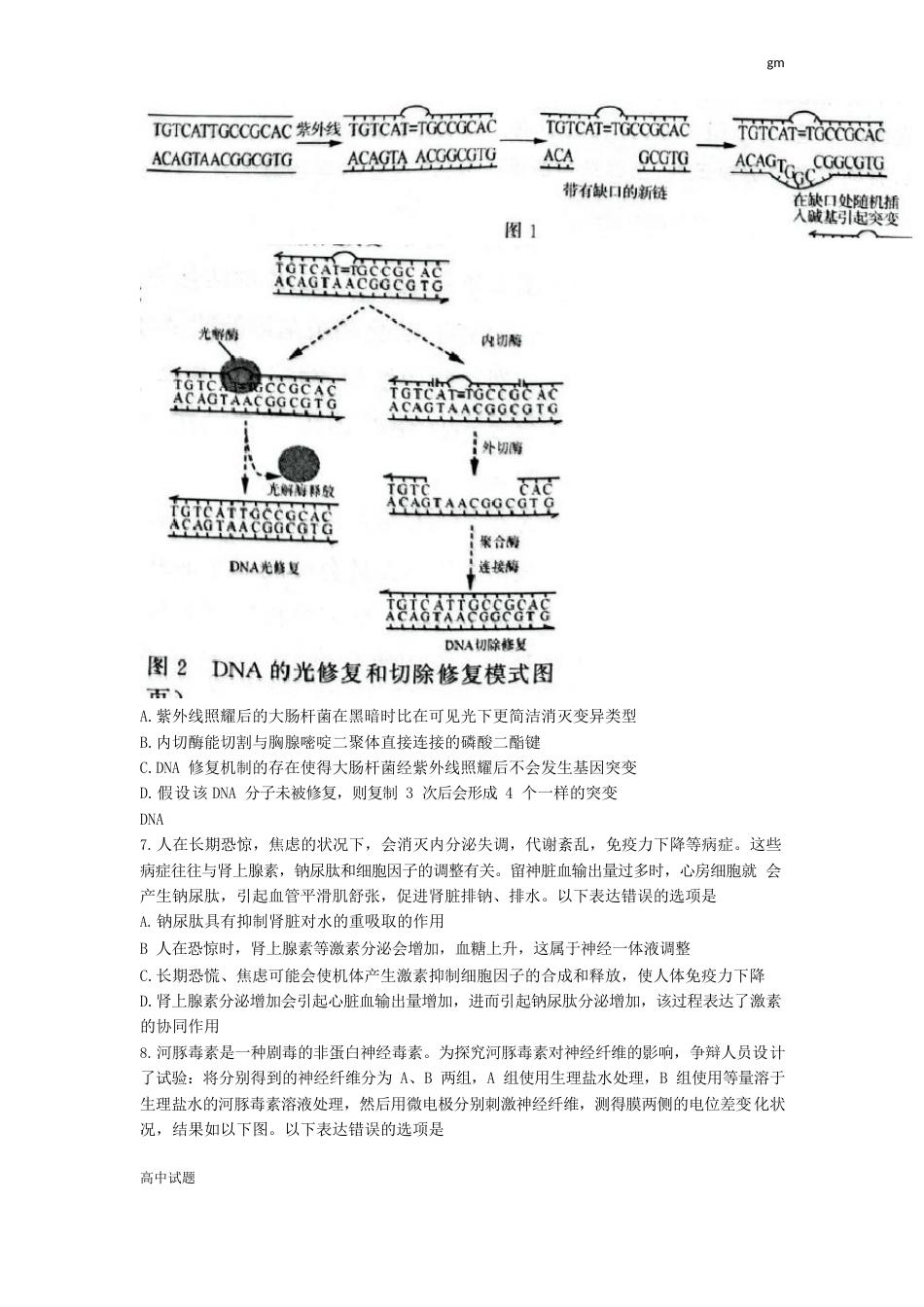 山东省济南市2023年届高三第一次模拟考试生物试题及答案_第3页