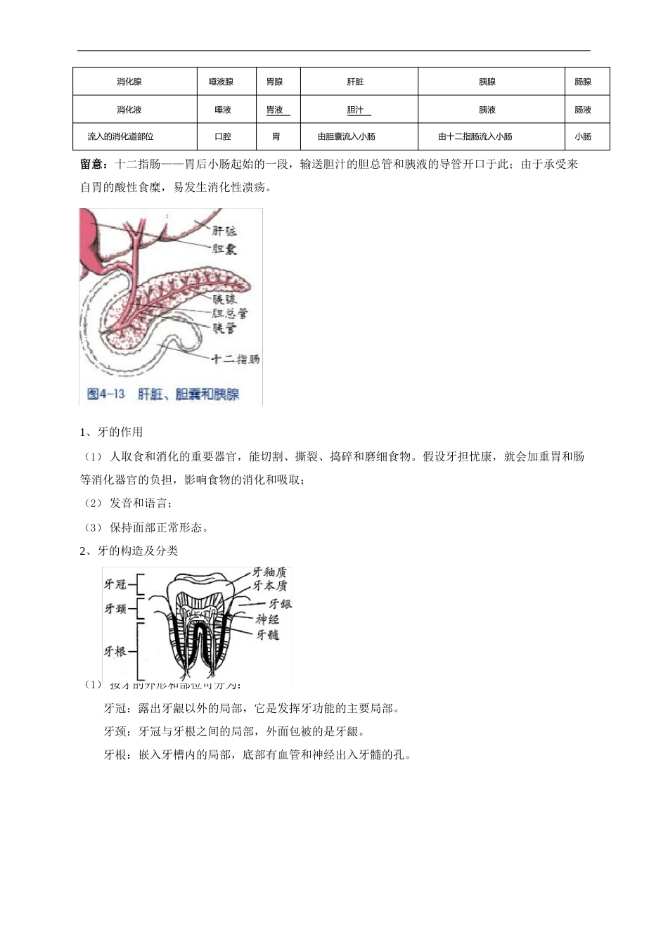 食物消化与吸收—浙教版九年级科学上册学案_第3页