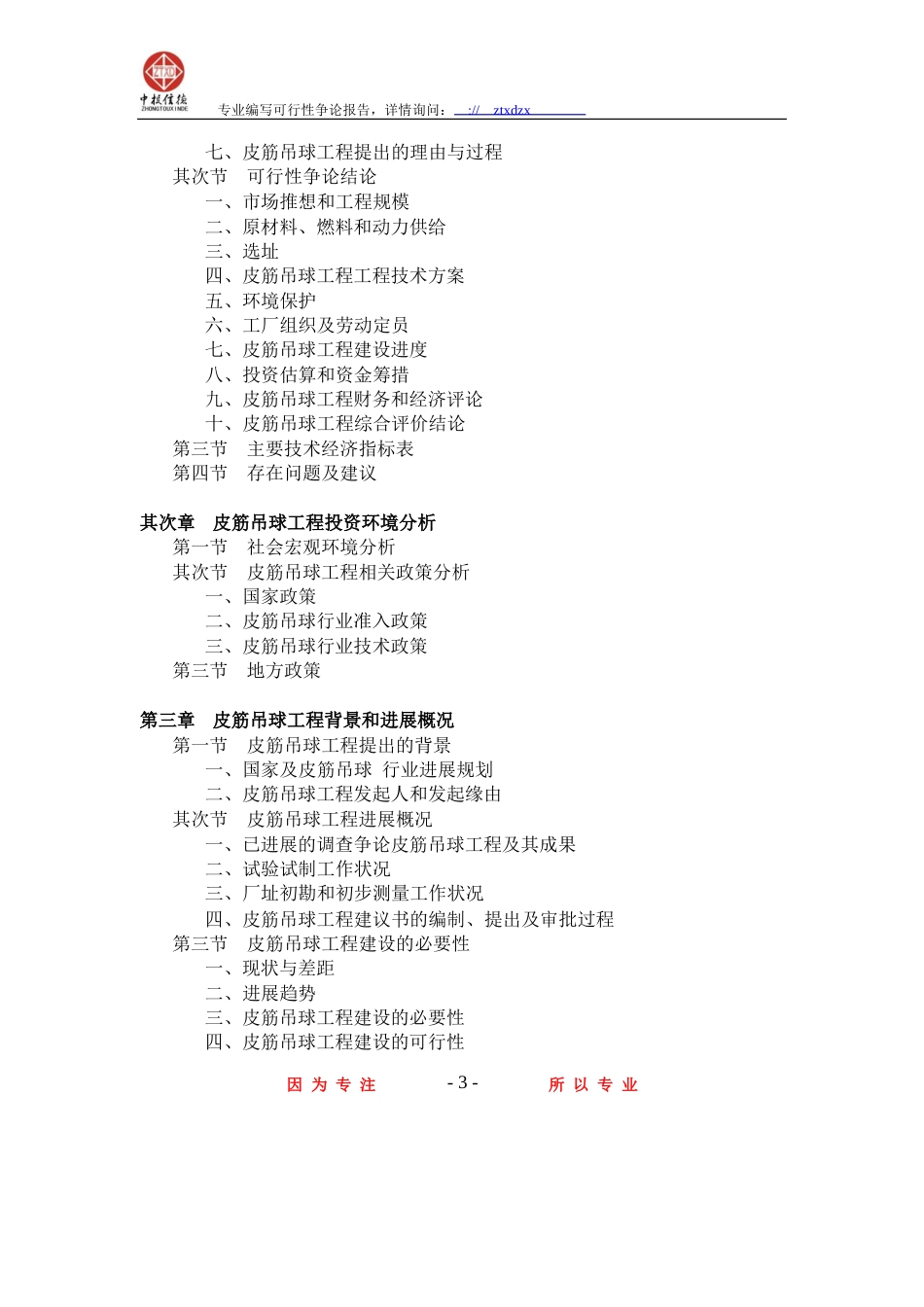 皮筋吊球项目可行性研究报告_第3页