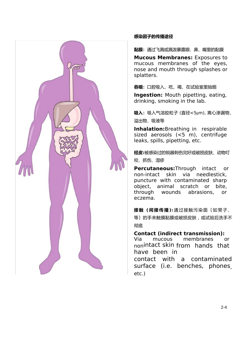 2生物安全评估和管理_第3页