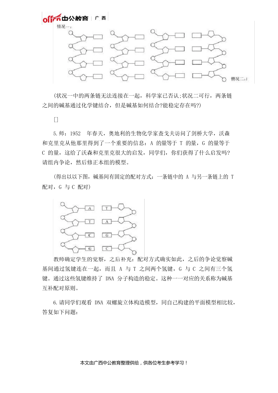 高中生物《DNA分子的结构》教案_第3页