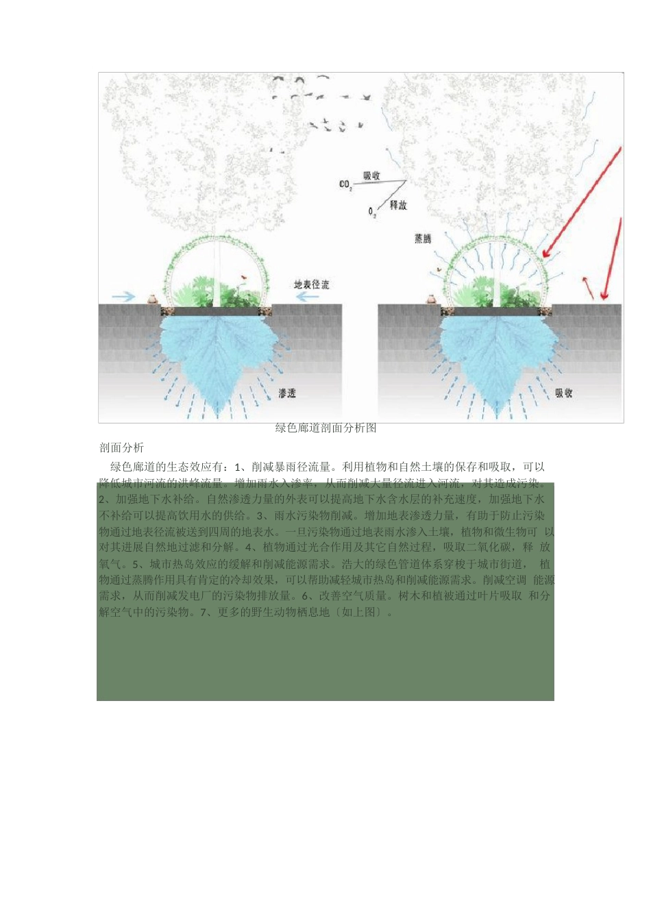 城市绿色廊道概念设计_第3页