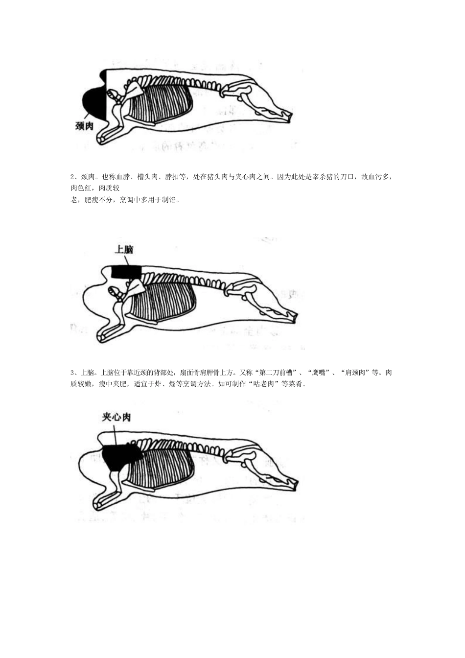 猪肉部位_第3页