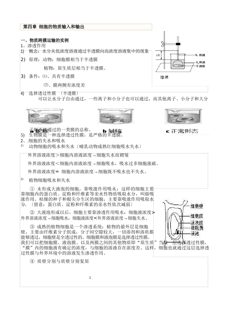 必修1_细胞的物质输入和输出知识点详解_第1页