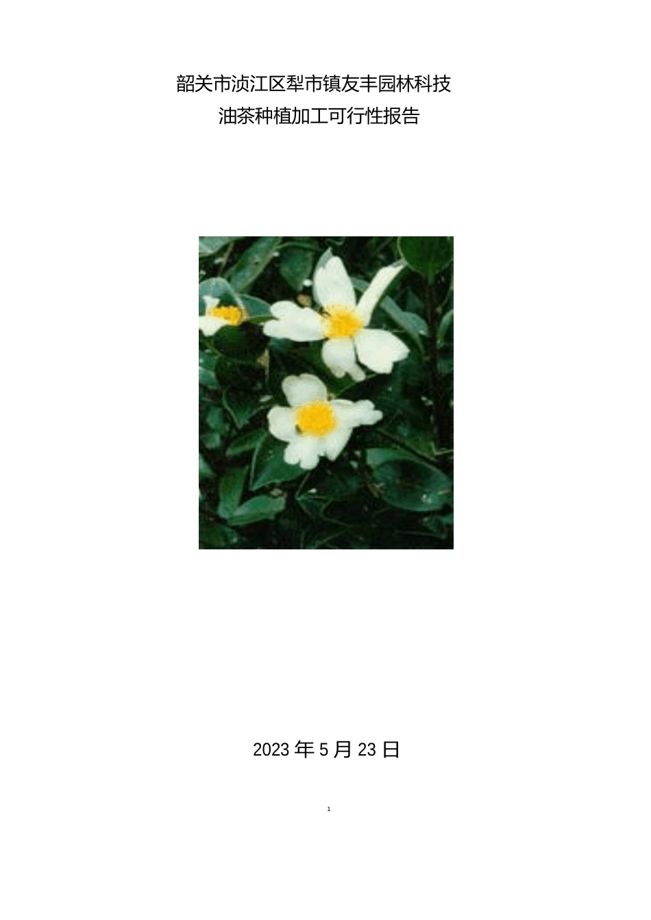 油茶种植项目可行性报告._第1页