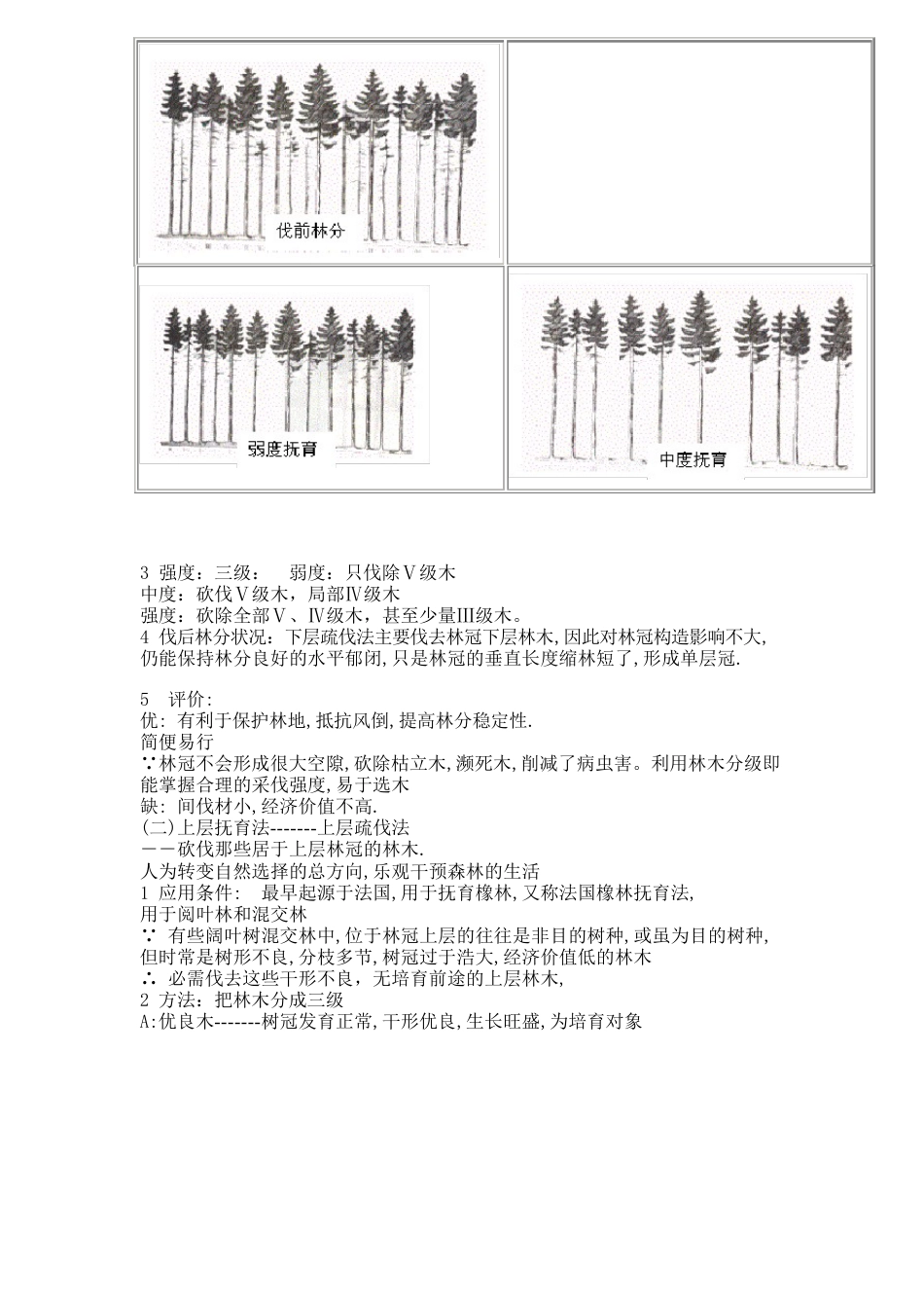 抚育采伐的种类和技术要素_第3页