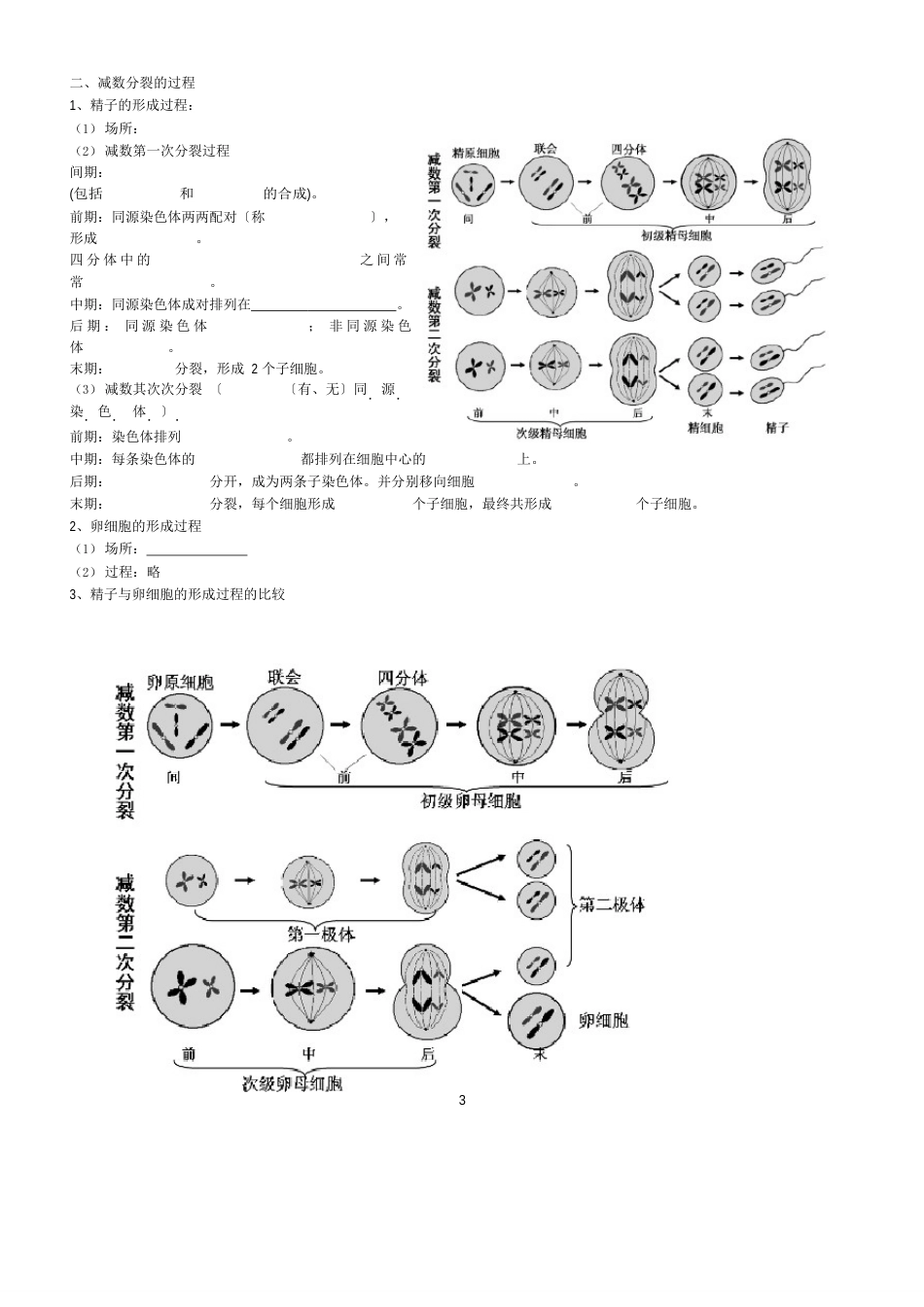 高中生物必修二知识点归纳填空(附答案)_第3页