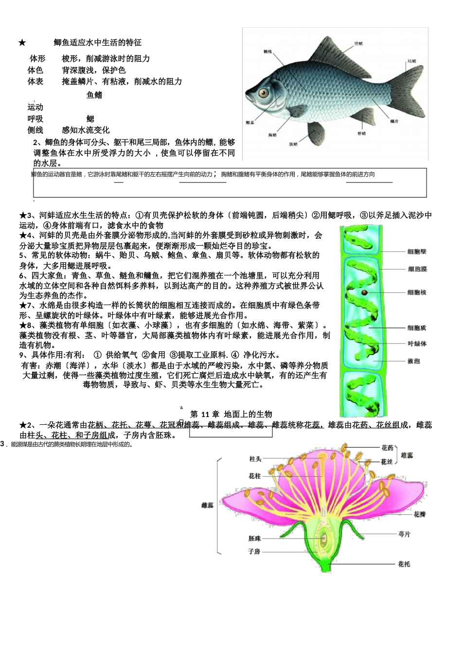 苏科版生物七年级下册知识点总结期末复习资料_第3页