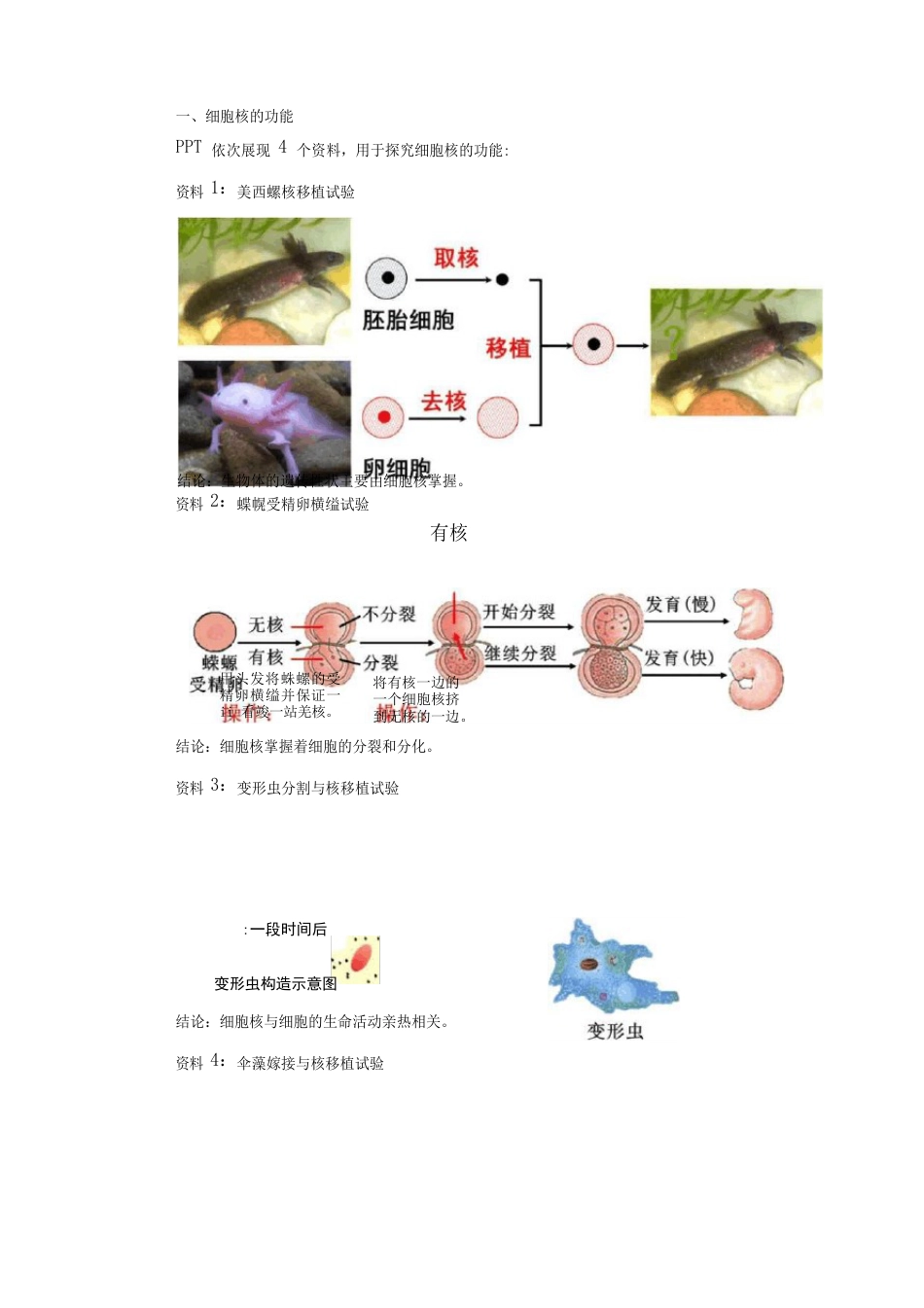 《细胞核的结构和功能》教案和导学案_第2页