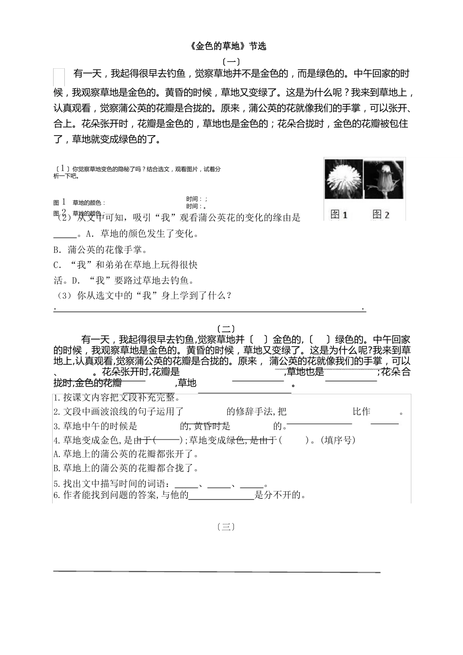 部编版小学语文三年级上册16.《金色的草地》课堂同步练习试题_第3页