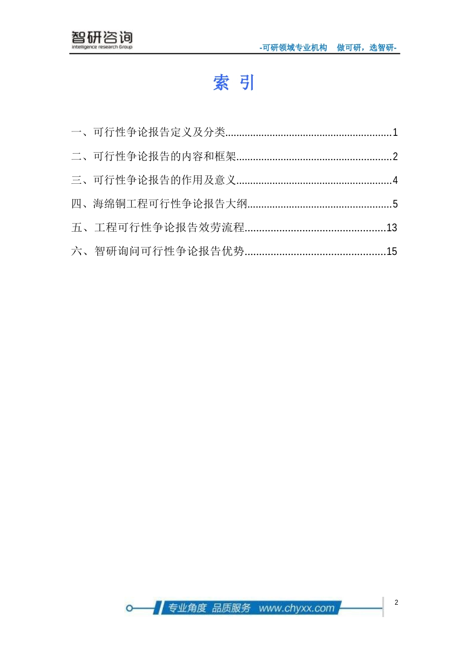 海绵铜项目可行性研究报告_第2页