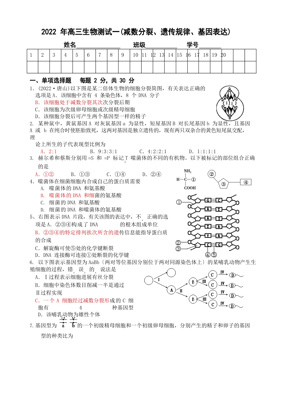 减数分裂遗传规律基因表达小测_第1页