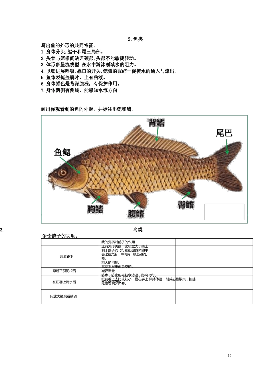 2023年(新苏版)四上科学学生活动手册参考答案_第2页