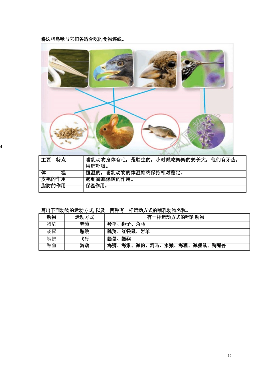 2023年(新苏版)四上科学学生活动手册参考答案_第3页