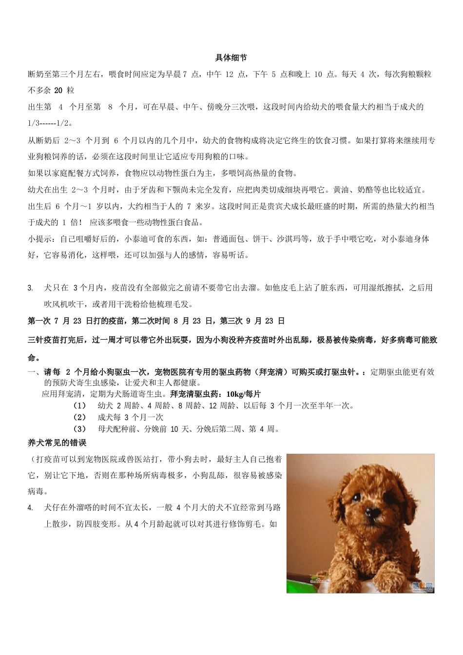 泰迪犬的饲养手册_第3页