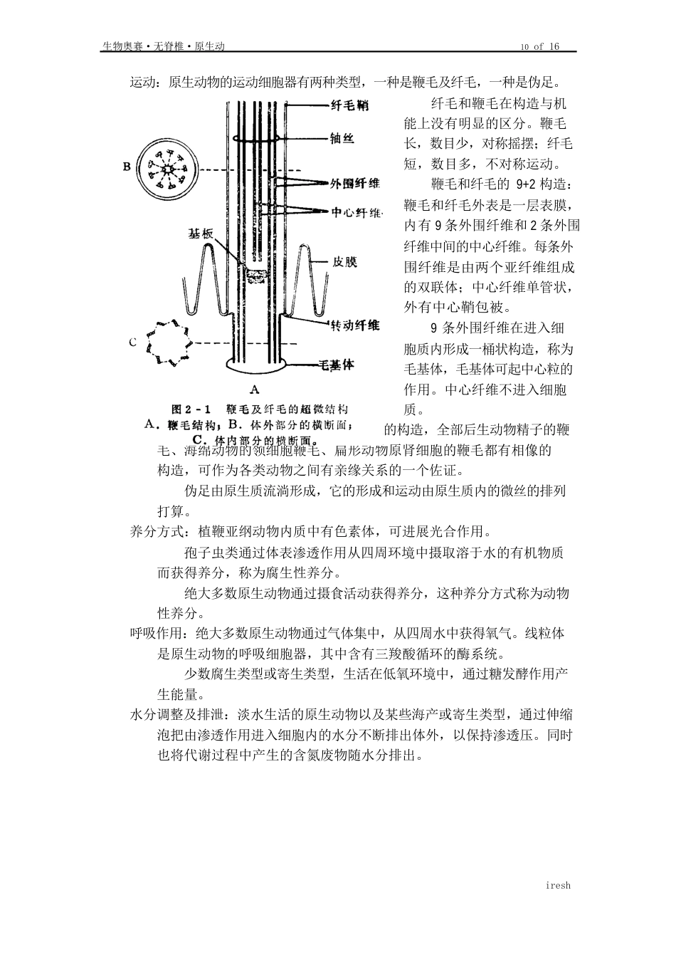 原生动物门知识概述_第2页