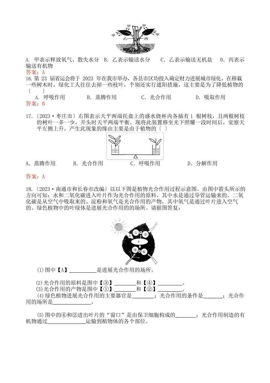 最新绿色植物与生物圈中的碳—氧平衡的试题_第3页